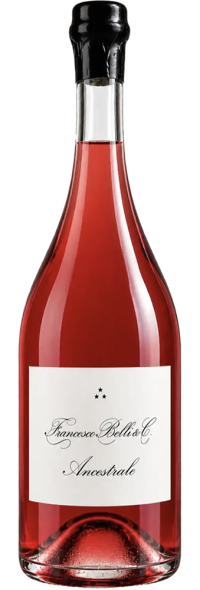 Lambrusco di Sorbara