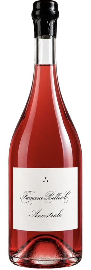 Bottle of Lambrusco di Sorbara